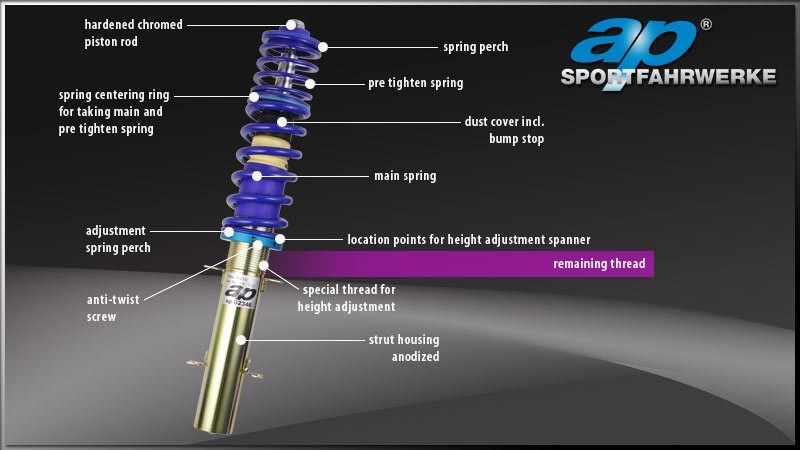 AP Schroefset Honda Integra (DC2)