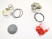 Revisie Set Forge Valves DV006