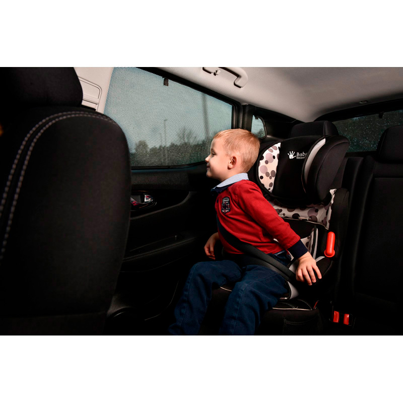 Set Car Shades  BMW X5 (G05) 2018- (6-delig)