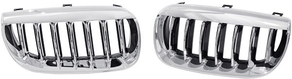 Grill Nieren passend voor BMW X3 03-10