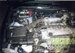 GREEN kit Honda Civic VI (1995-2001) 1.5i 16V VTEC-E 66kw (