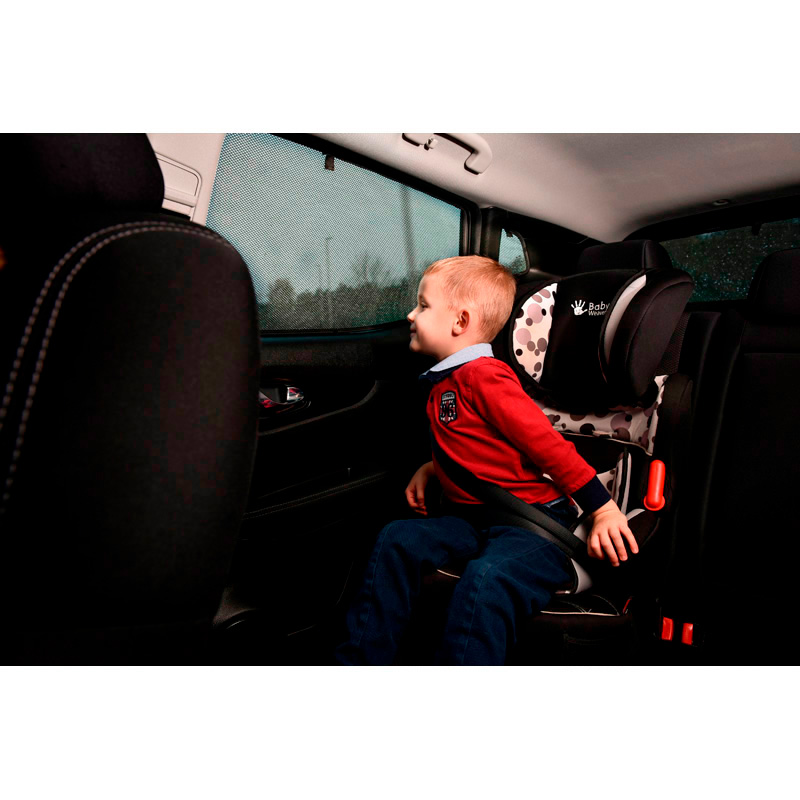 Set Car Shades  Audi TT Coupé 2014-2023 (4-delig)