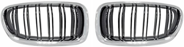 Grill Nieren passend voor BMW F10/11